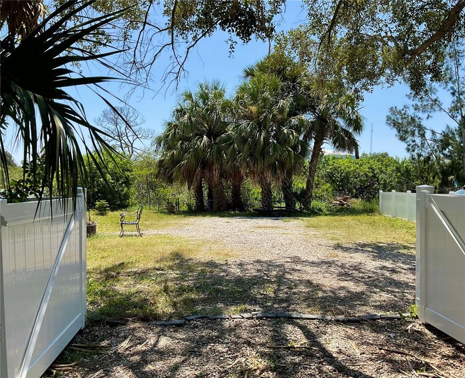 a view of a yard with palm trees