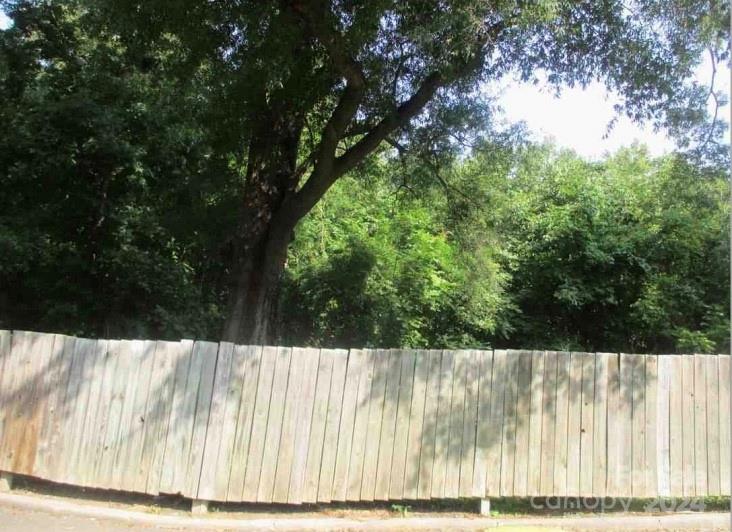 a view of yard with a large trees