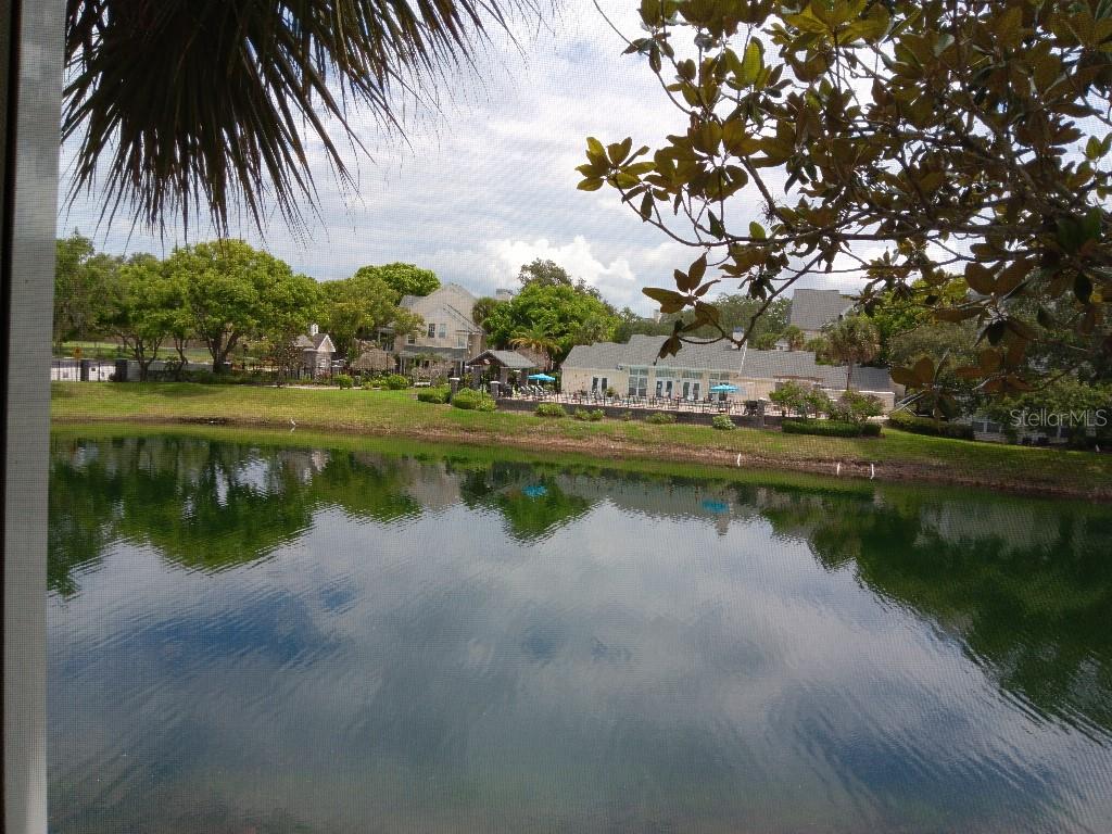 a view of a lake with a yard