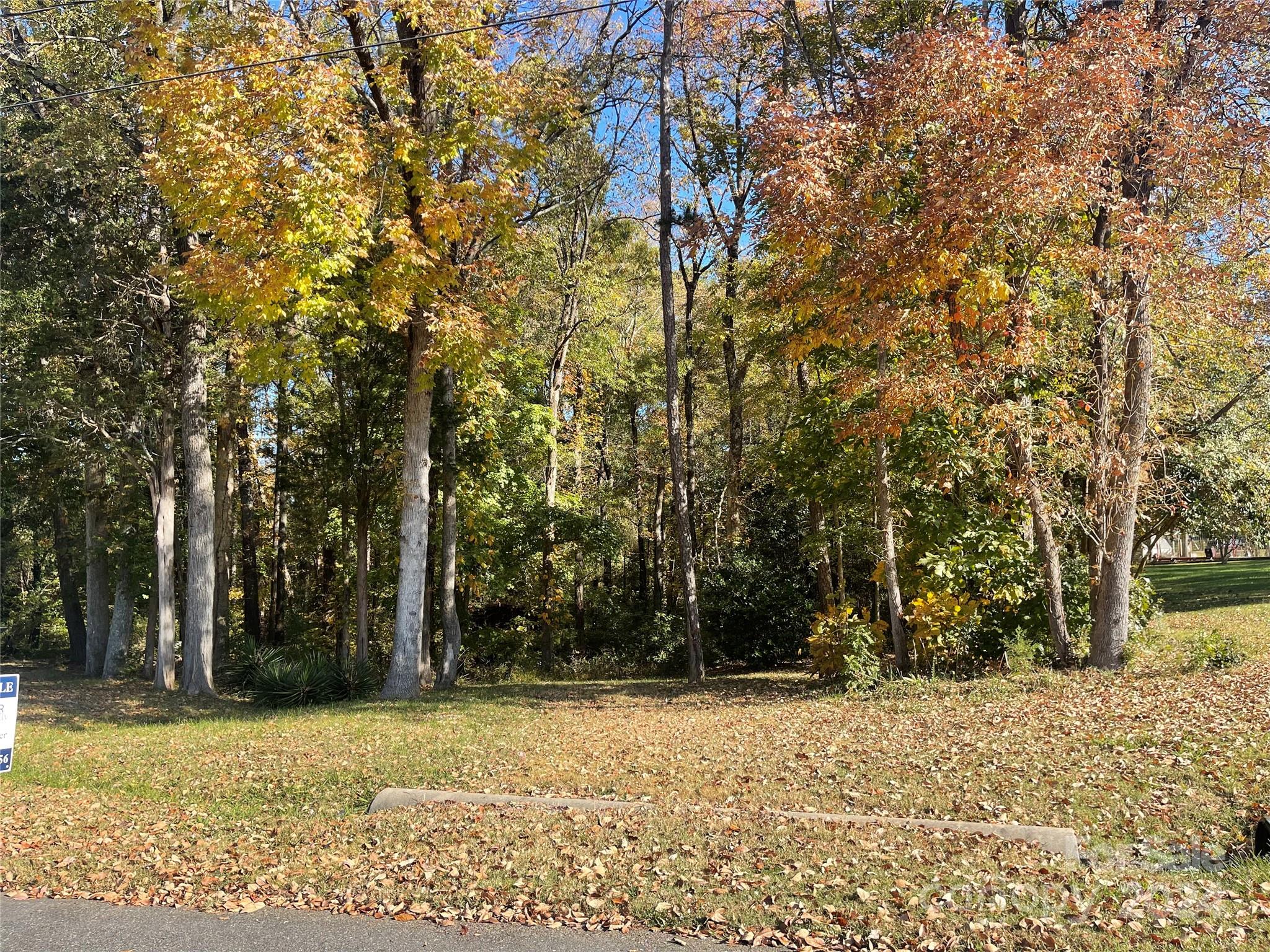 a view of a yard with trees