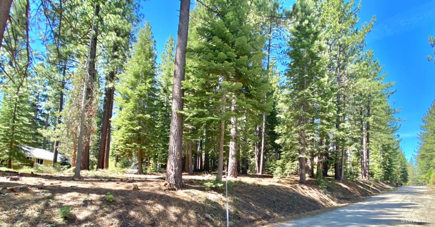 a view of outdoor space with trees