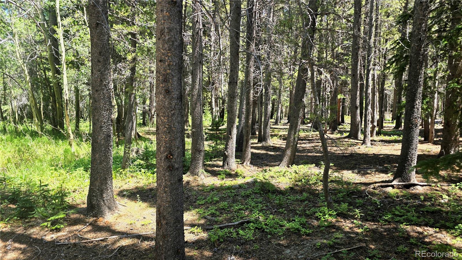 a view of outdoor space