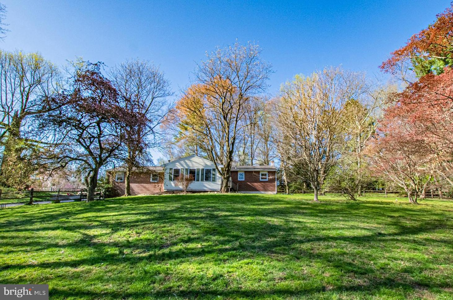 a view of a park with large trees