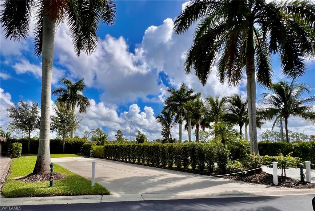 a view of a yard with palm trees