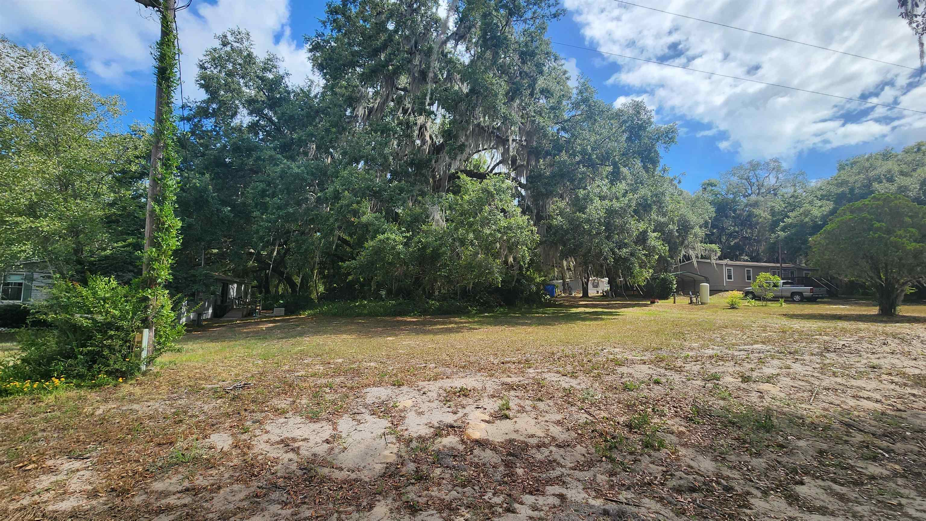 a view of a yard with trees