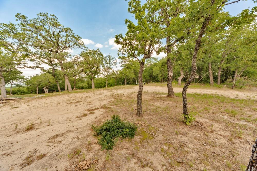 a view of empty yard with trees