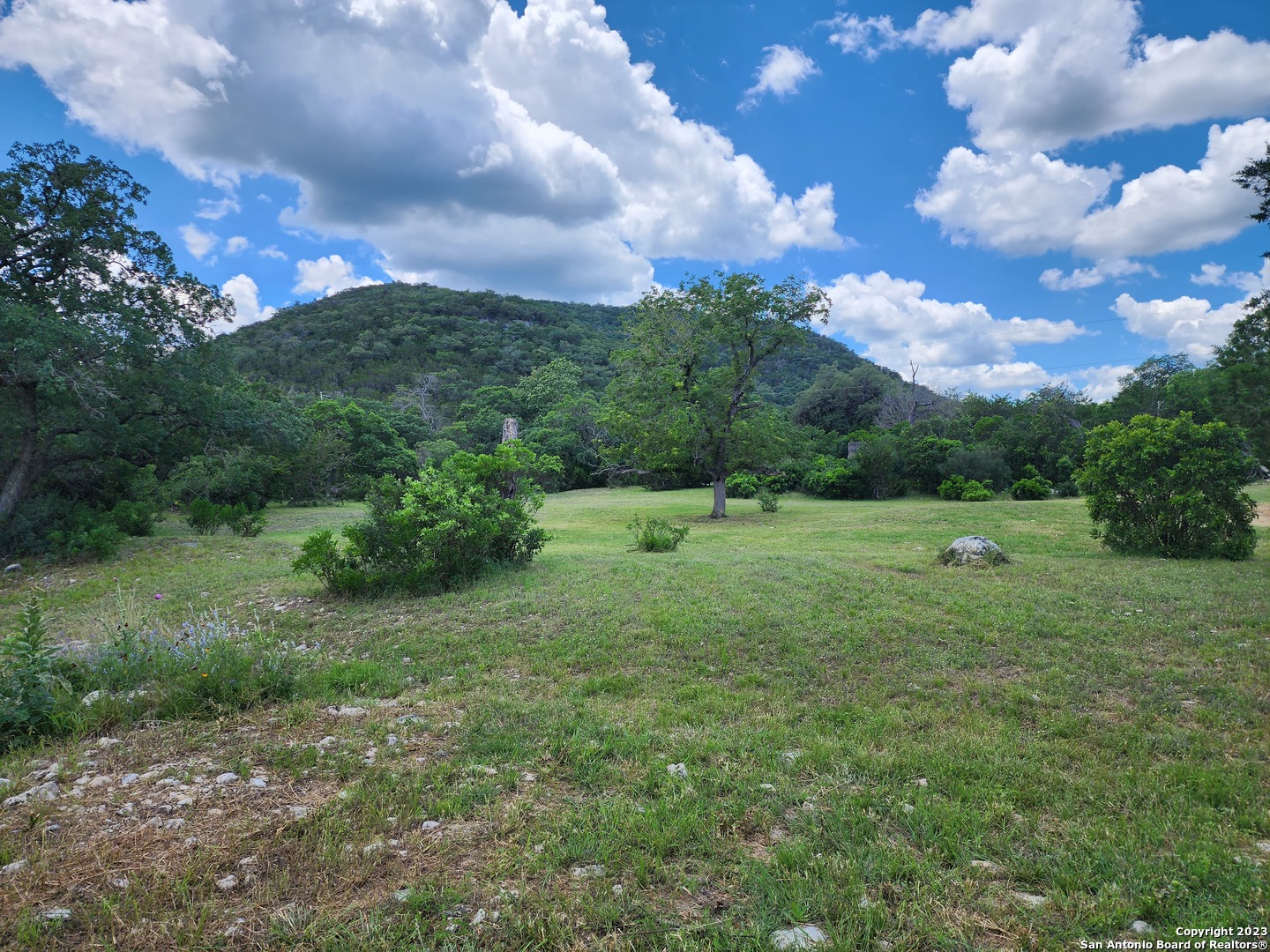 a view of a big yard with lots of green space