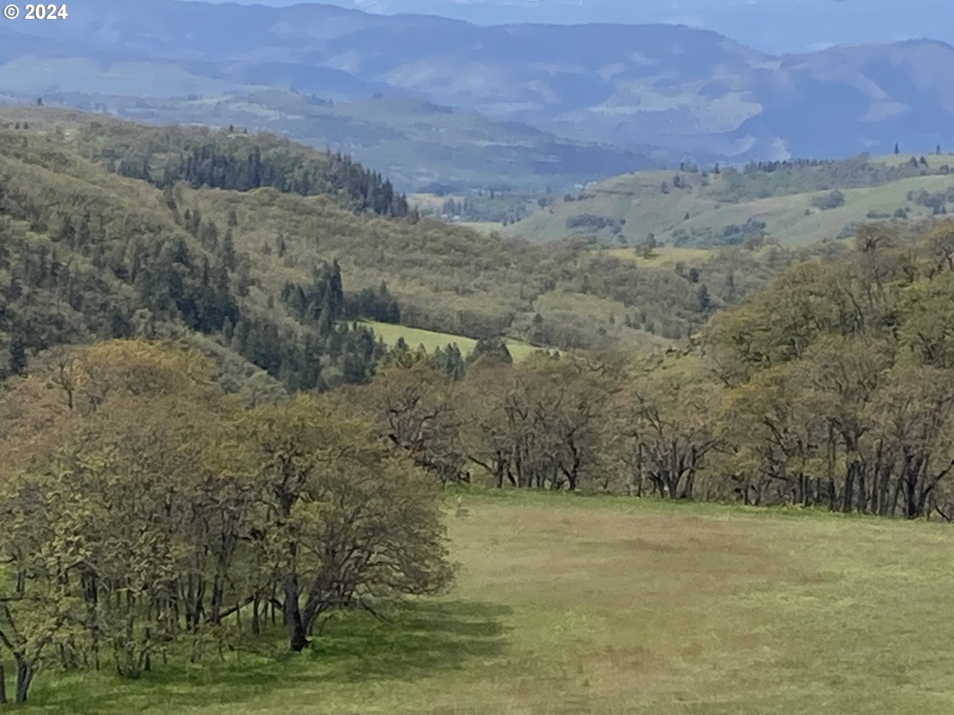 a view of a field with an ocean