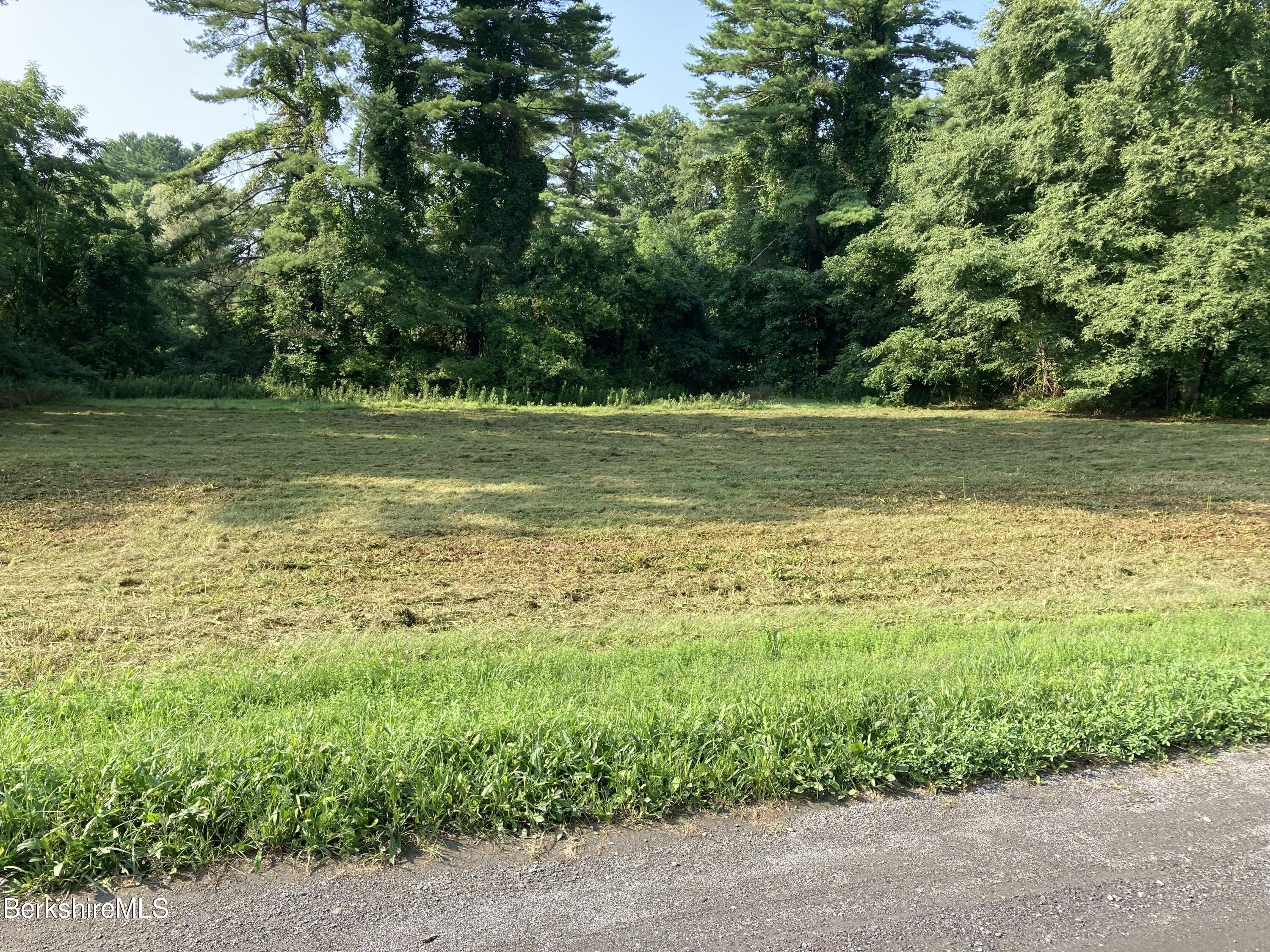 a view of a green field