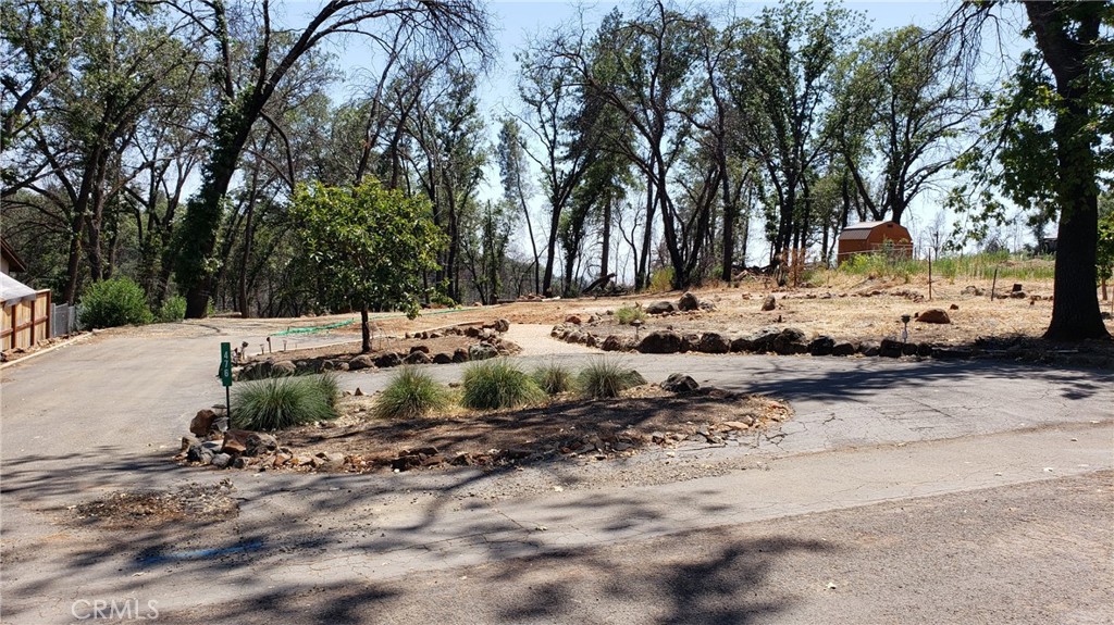 a view of a backyard with trees