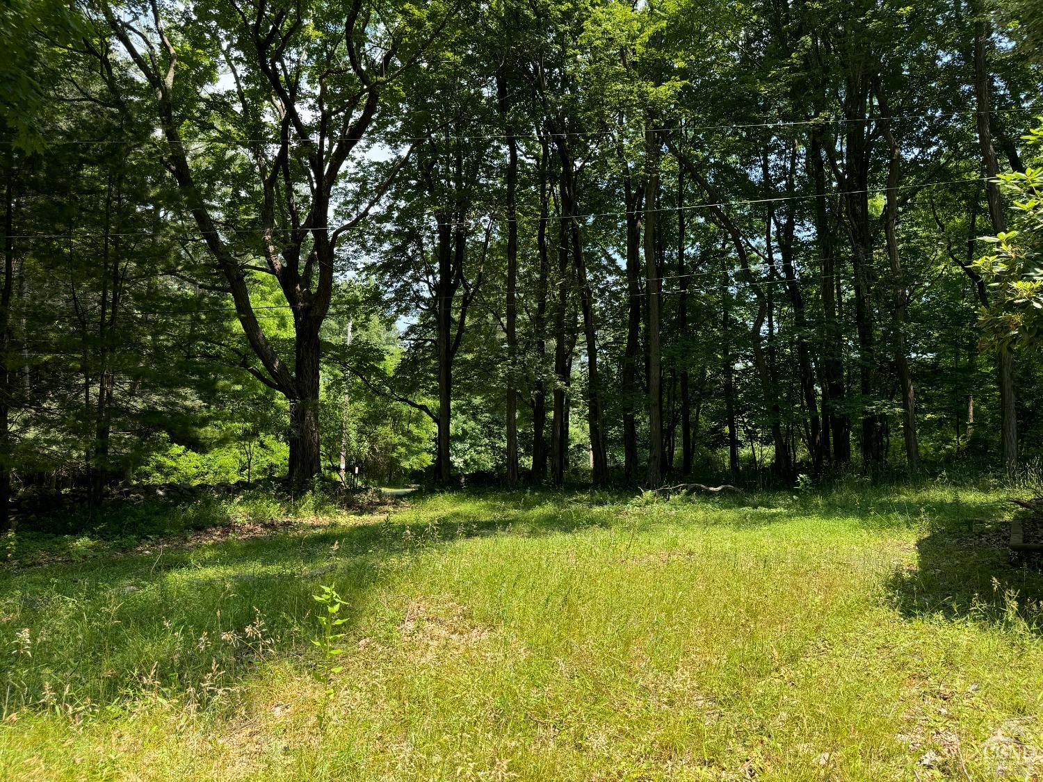 a view of a golf course with a park