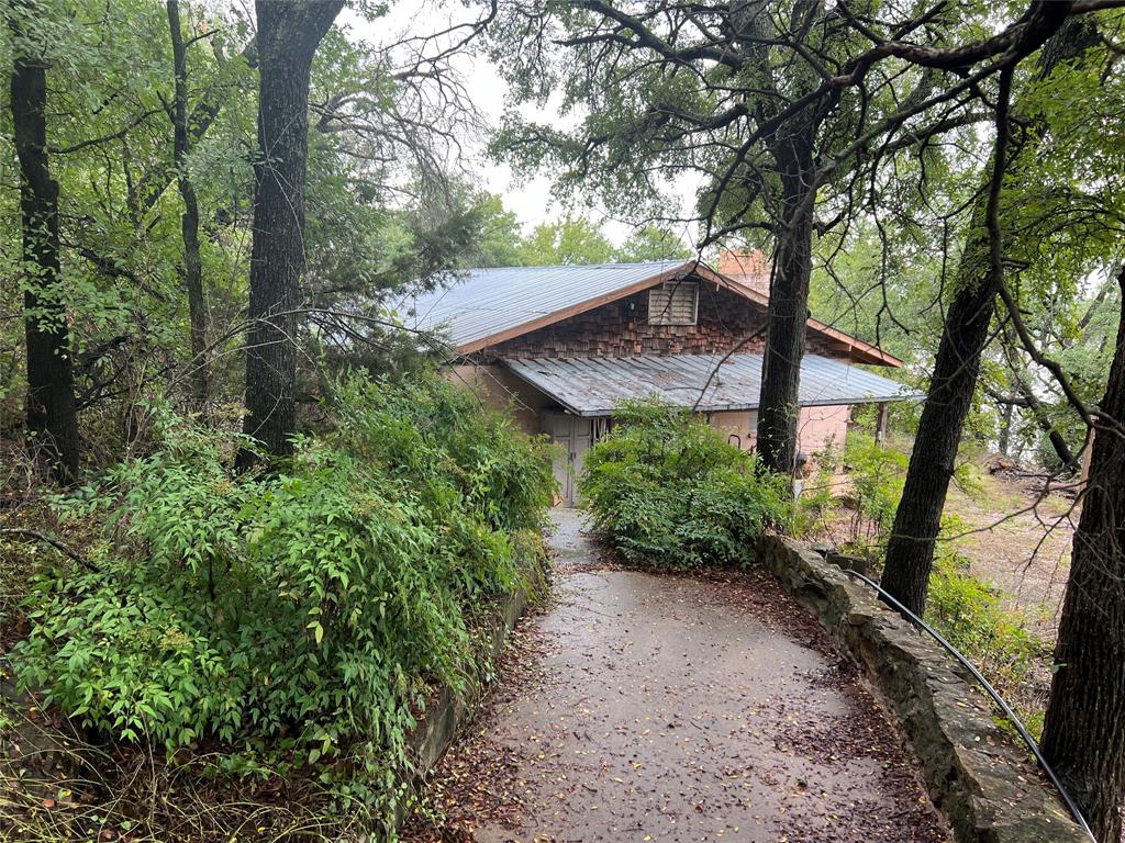 a view of a backyard with plants and large trees