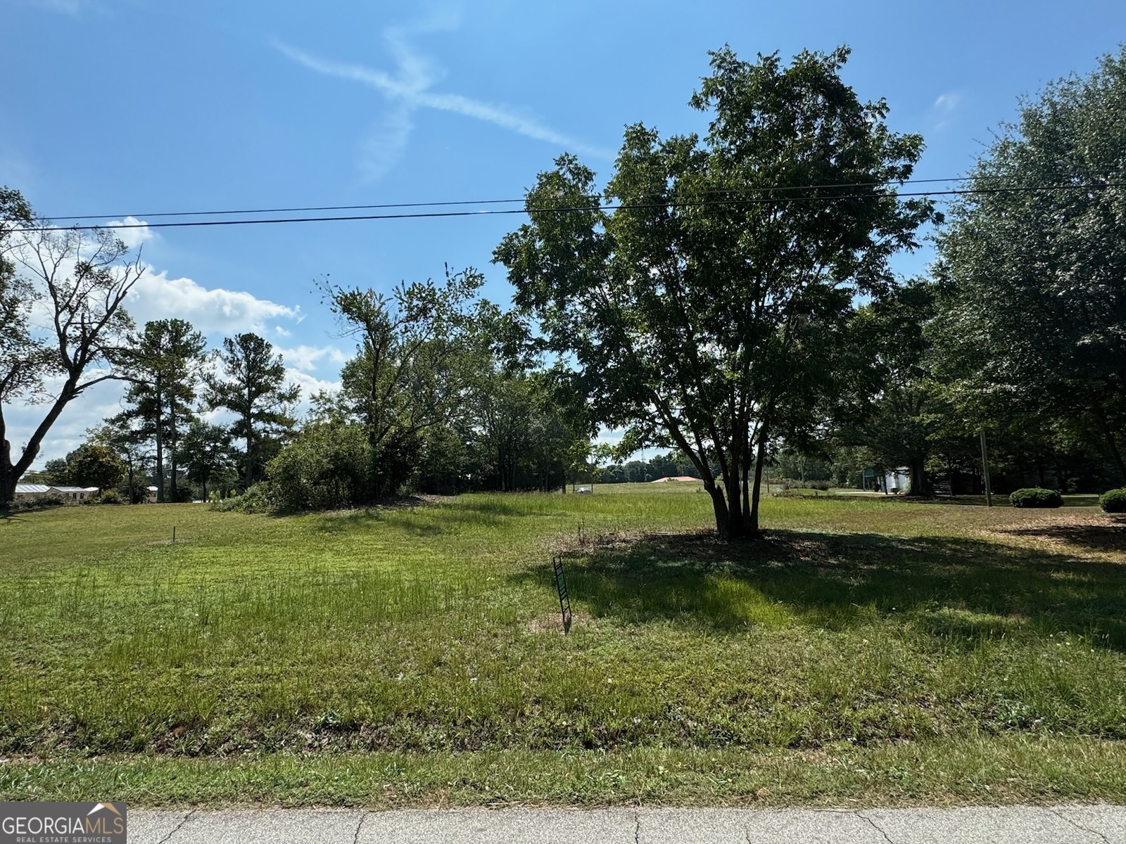 a view of a field with a tree