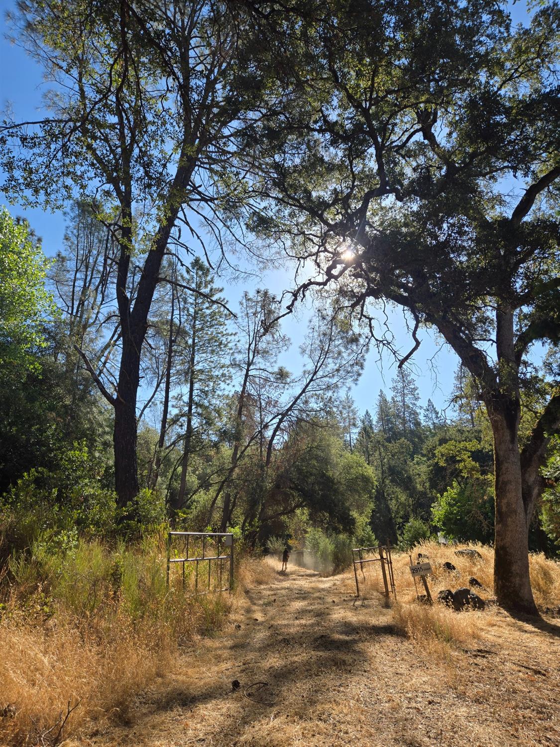 a view of outdoor space with trees