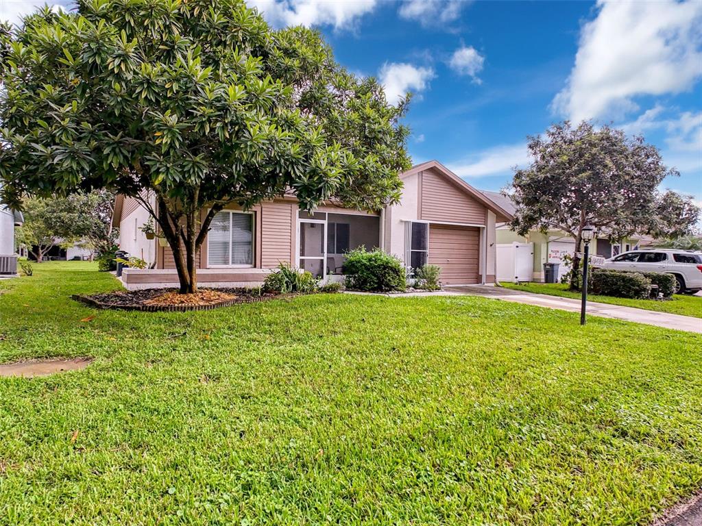 a view of a house with a yard and tree s