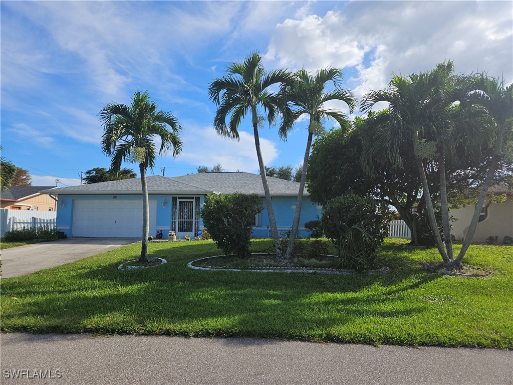 a palm tree sitting in front of a house with a yard