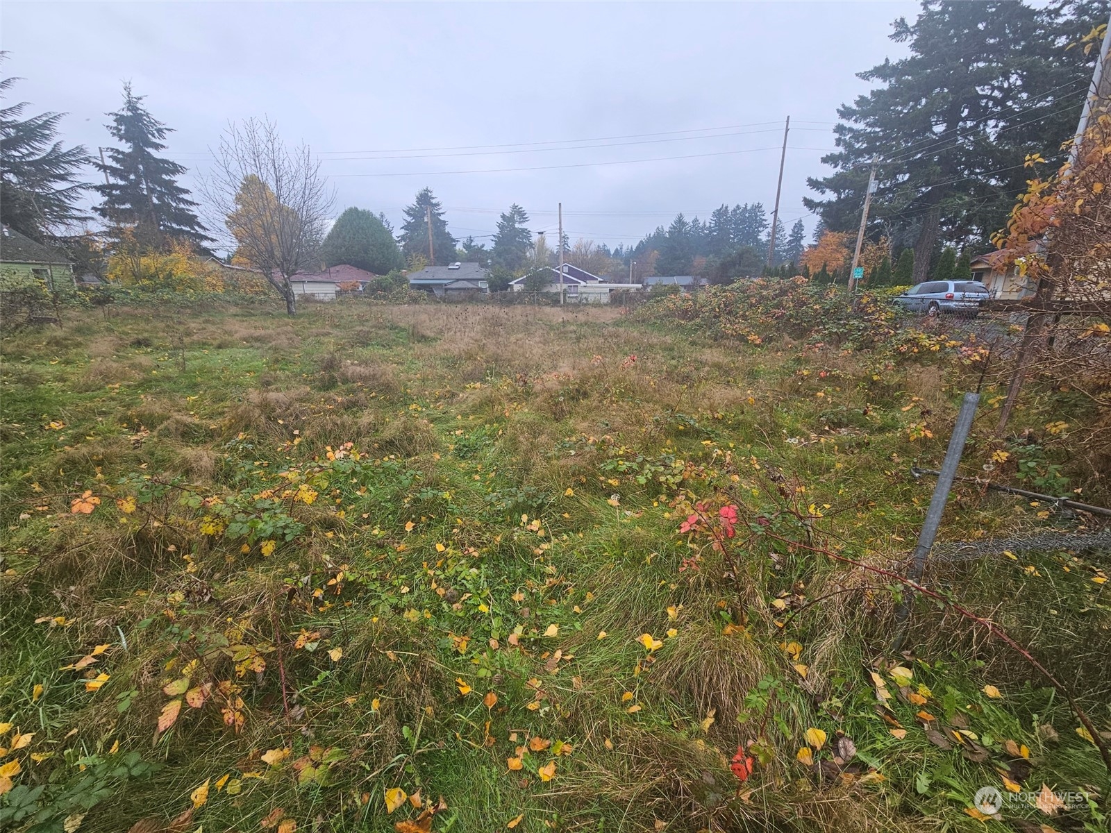 a view of a yard in front of the house