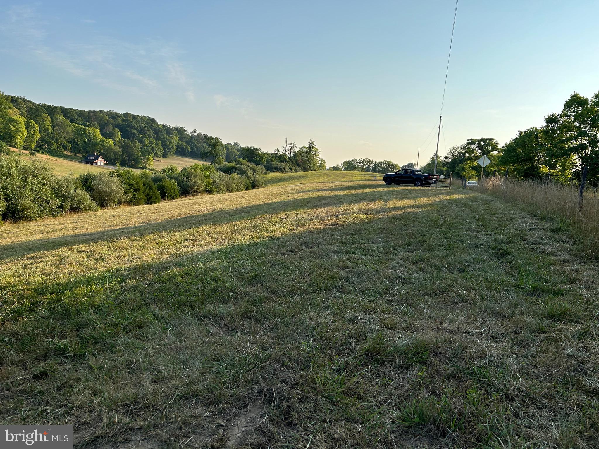 a view of a field of grass and trees