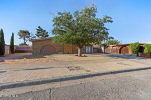 a view of a yard with a house