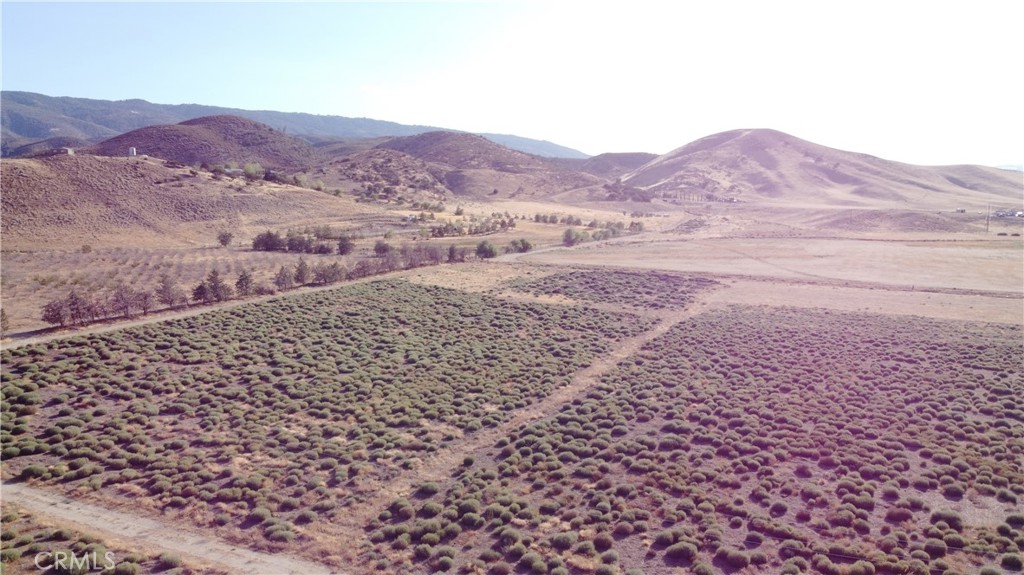 a view of a dry yard with mountains in the background