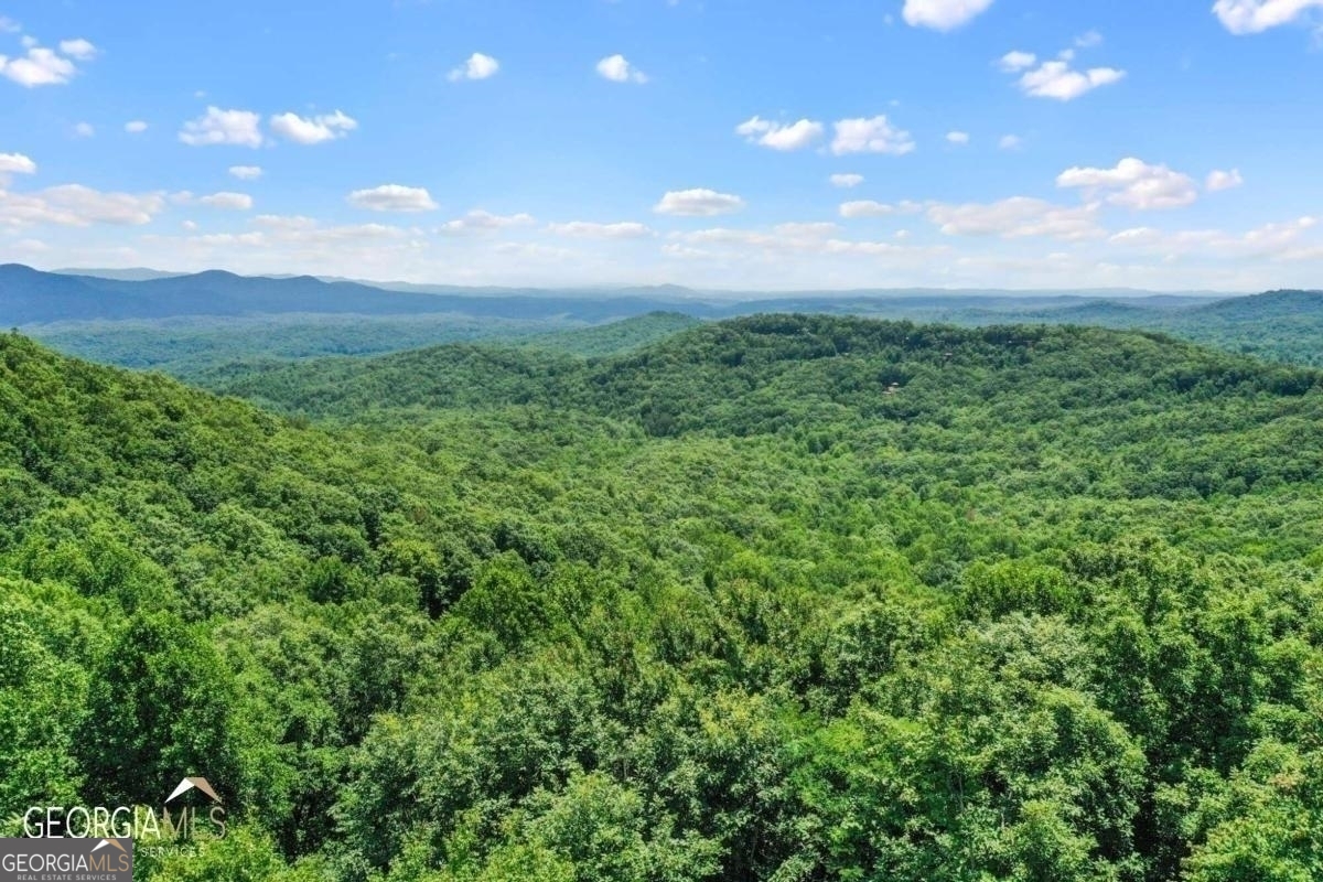 a view of a city with lush green forest