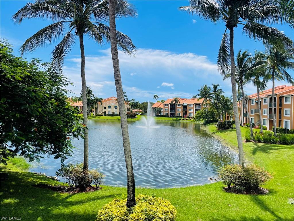 a view of a lake with a big yard and palm trees