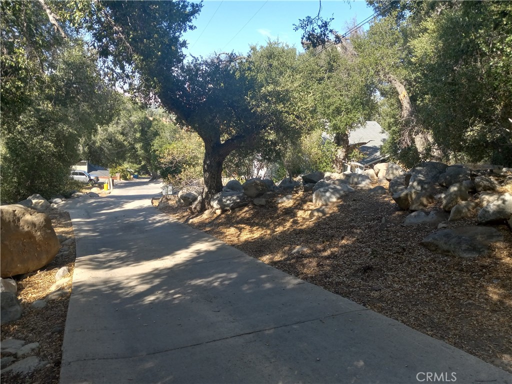 a view of road with tree