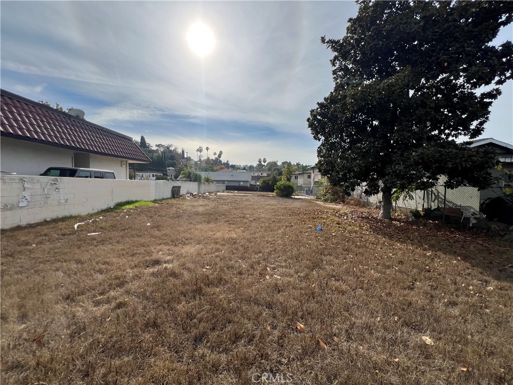 a view of a dry yard with trees