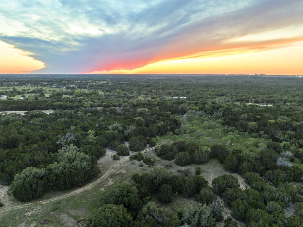 a view of a city with lush green forest