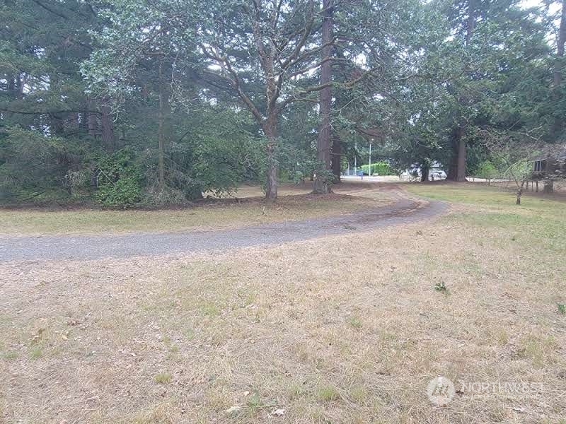 a view of dirt yard with a trees