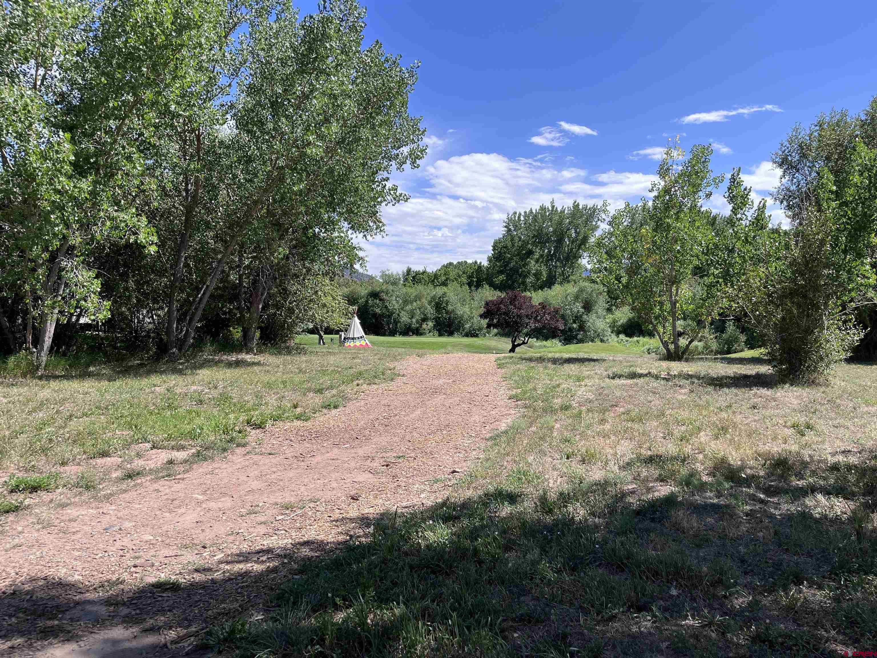 a view of a yard with a tree