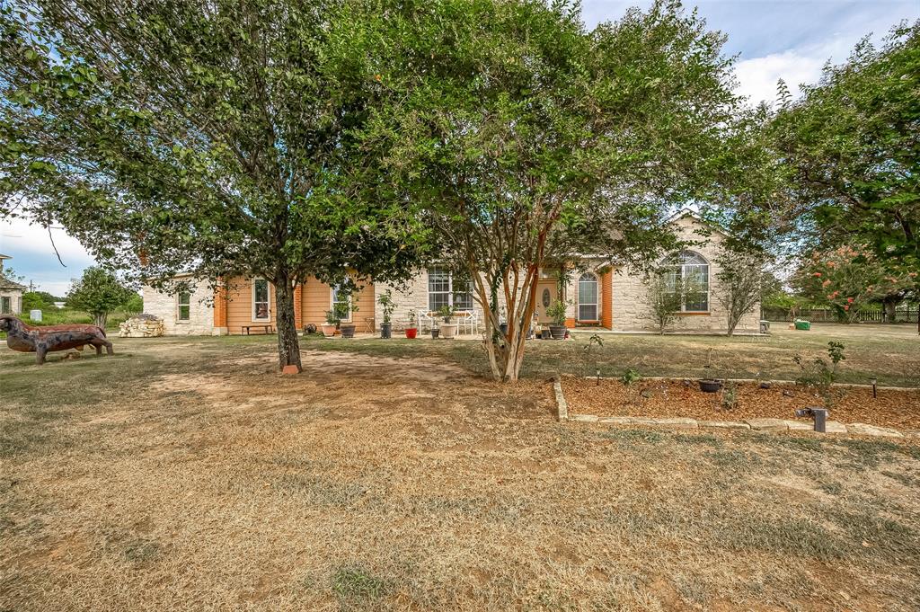 a view of a yard with a tree