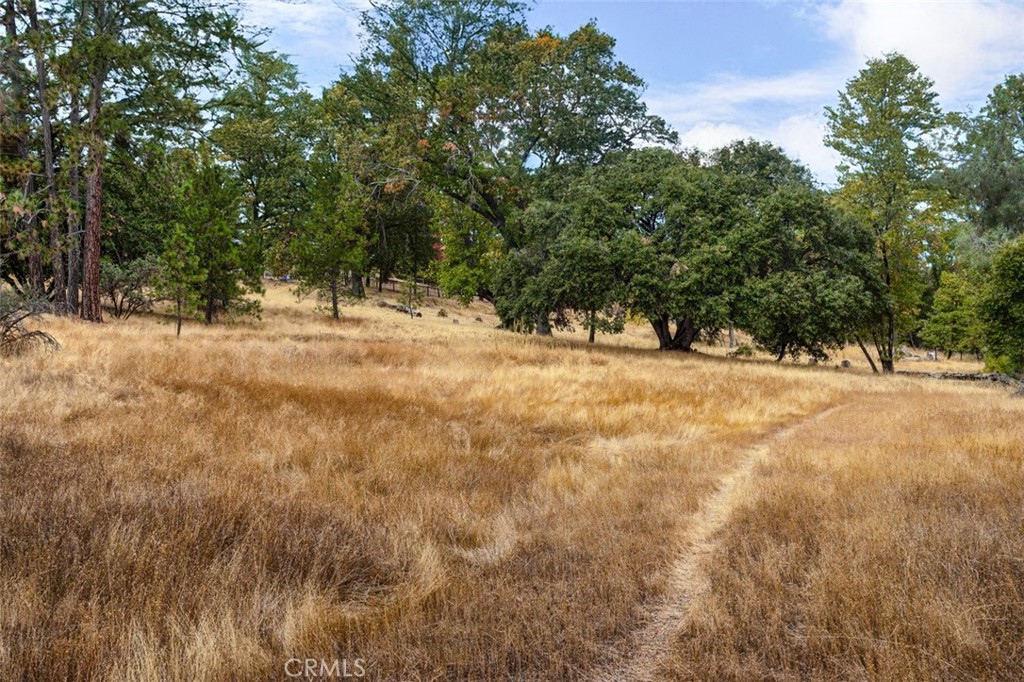 a view of empty space with trees