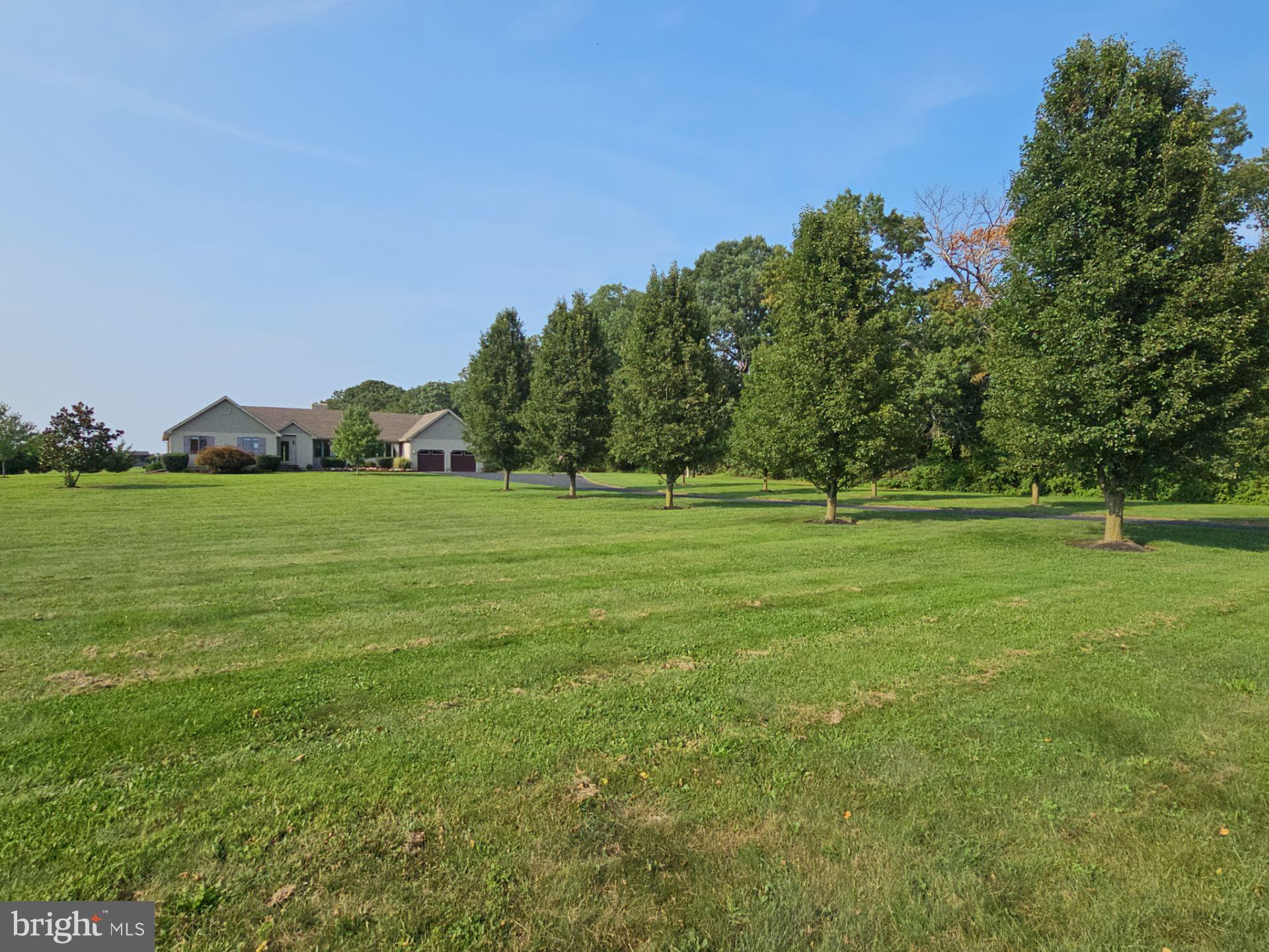 a view of a green field with trees in the background