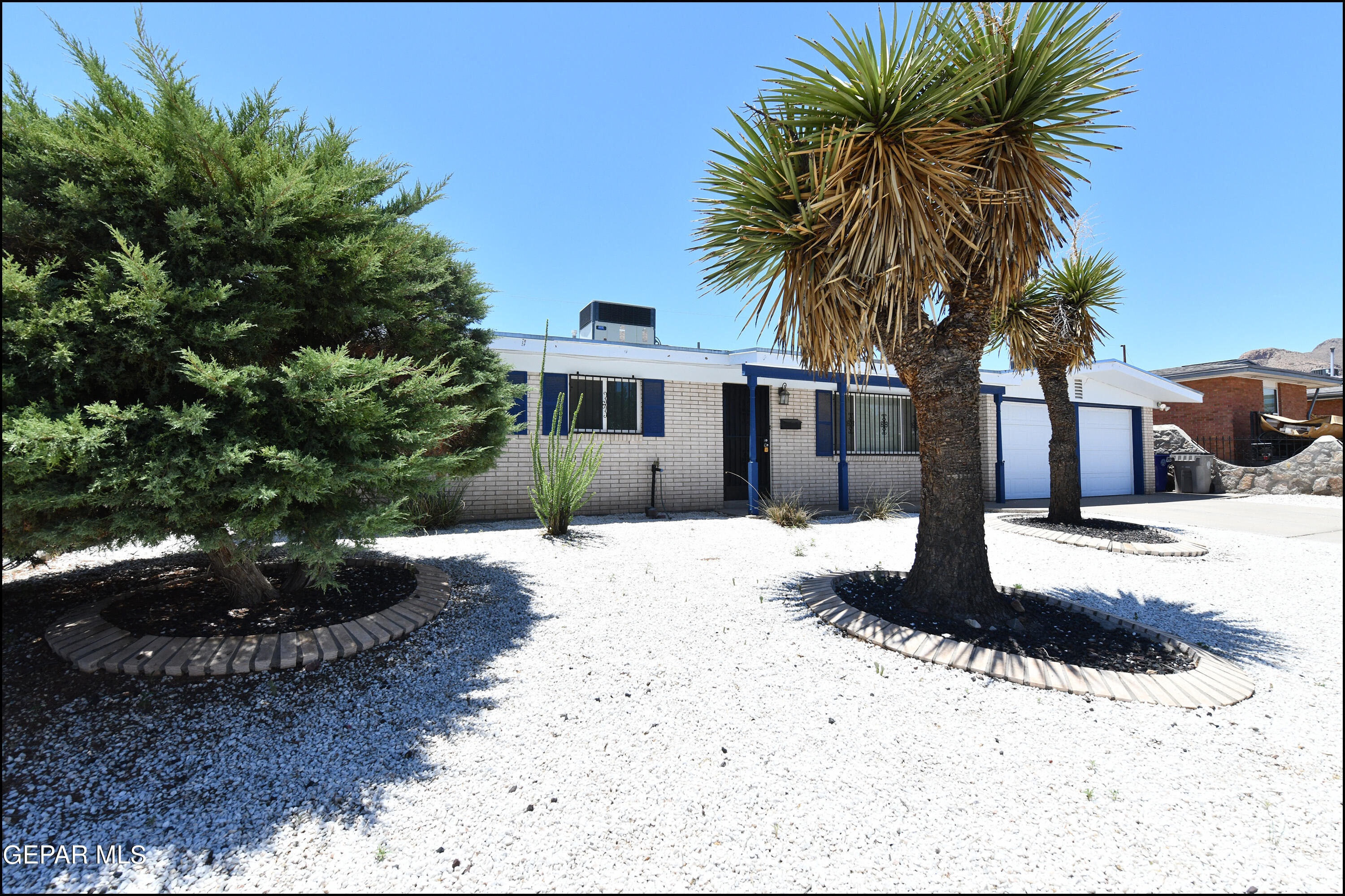 a palm tree sitting in front of a house with a yard