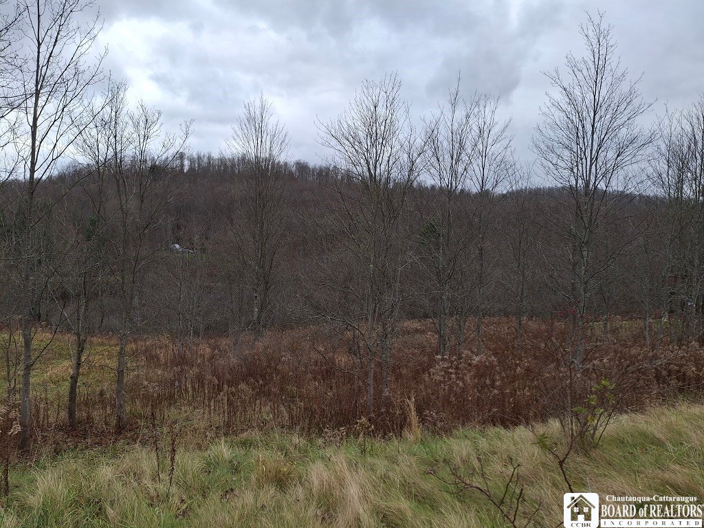 Buildable Residential lot 0.62 acres approx.