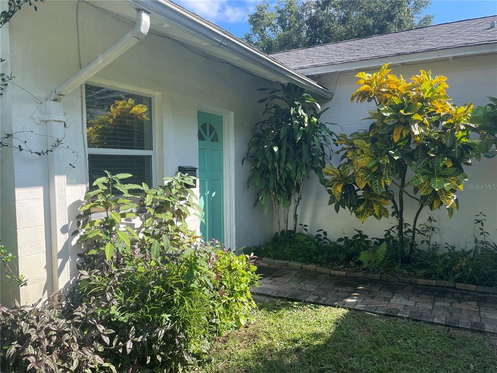 a view of a backyard with plants