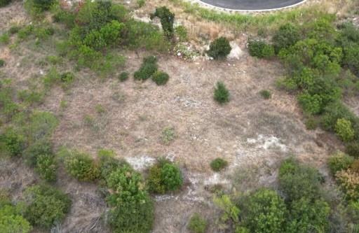 a view of a dry yard with lots of green space