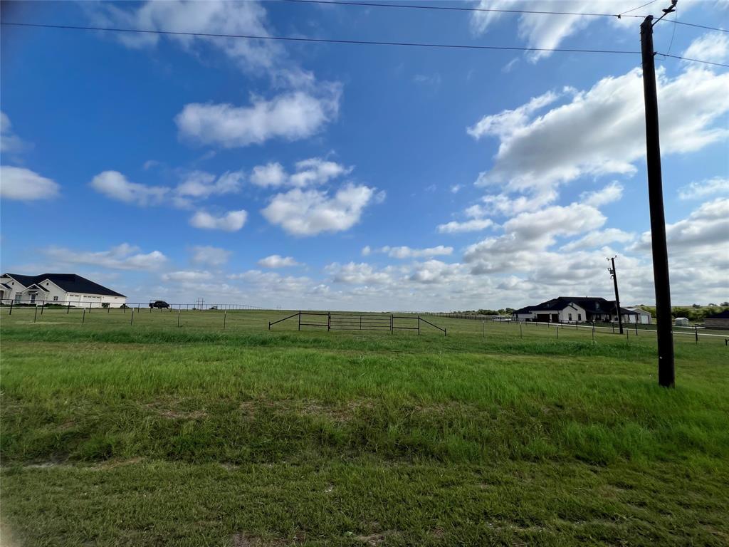 a view of a big yard with a large tree