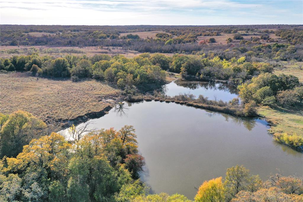 a view of a lake in middle of forest