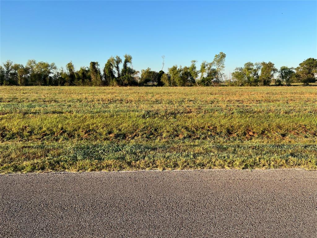 a view of a field with trees in background