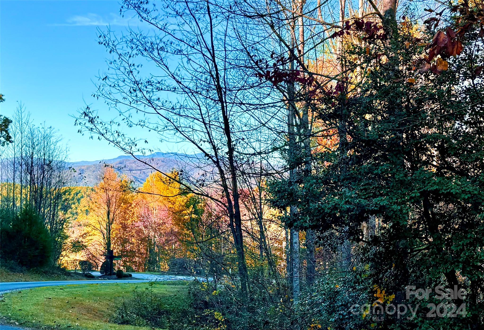 a view of outdoor space and trees