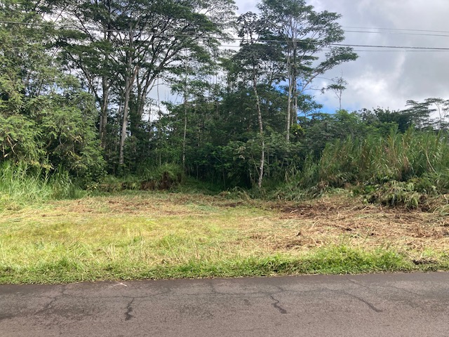 a view of a yard with a tree