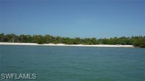 a view of lake and trees