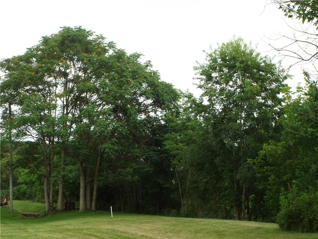 a view of a basketball court