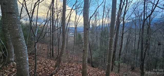 $34,000 | Lot 10 Seay Mountain Road | Jonathan Creek Township - Haywood County