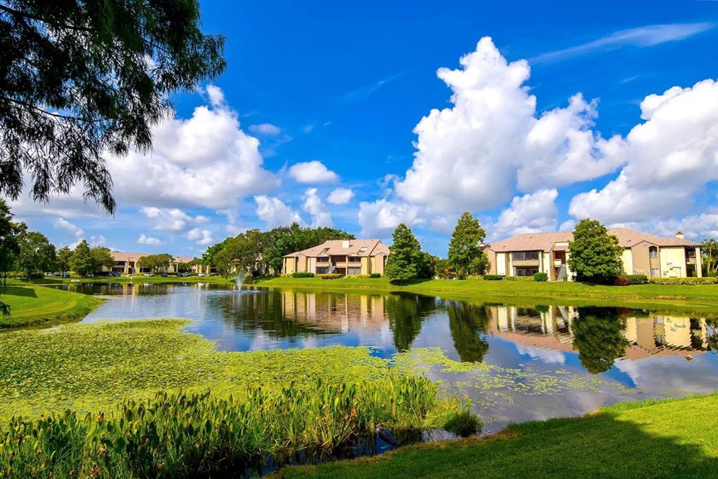 a view of a lake with a house in the background