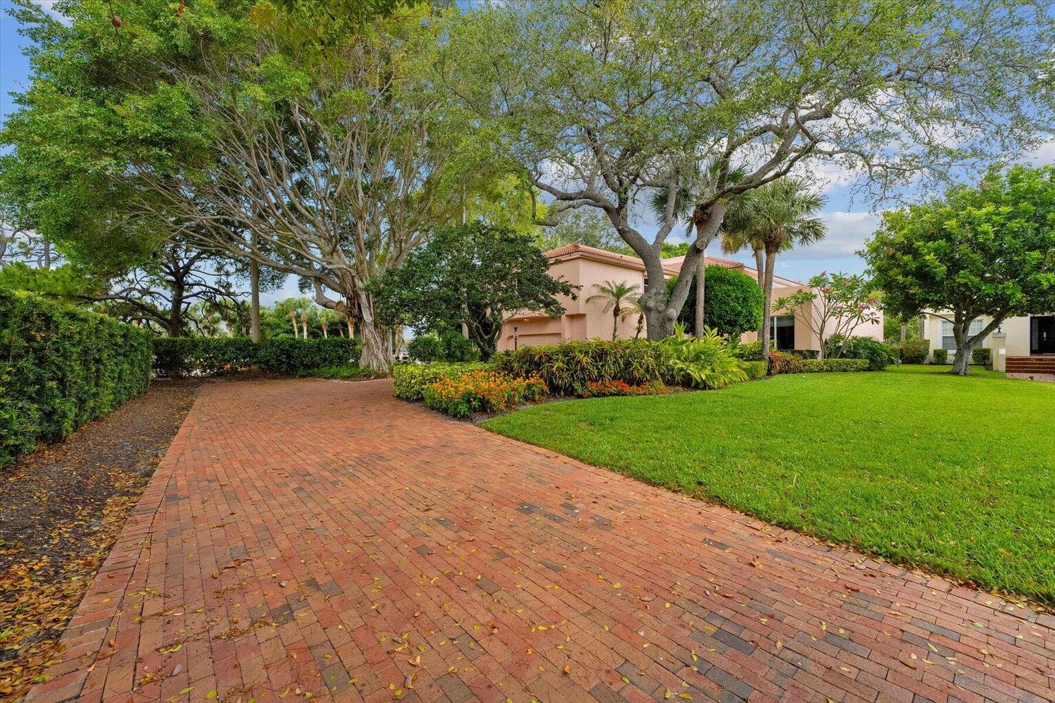 a view of a yard with plants and trees