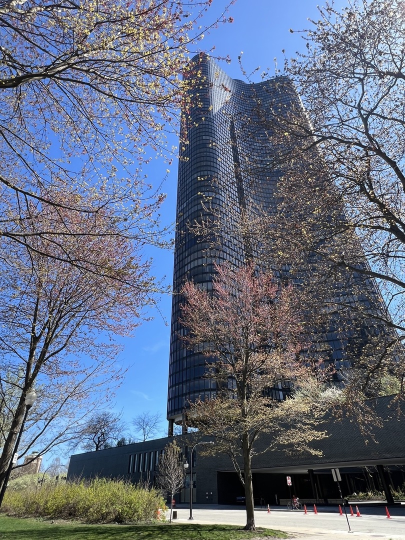 a view of outdoor space with lots of trees in the background