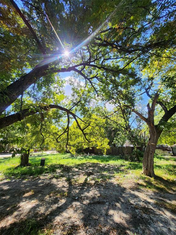 a backyard of a house with a yard and large trees